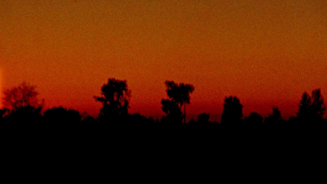 on a trip Movie Screenshot 3