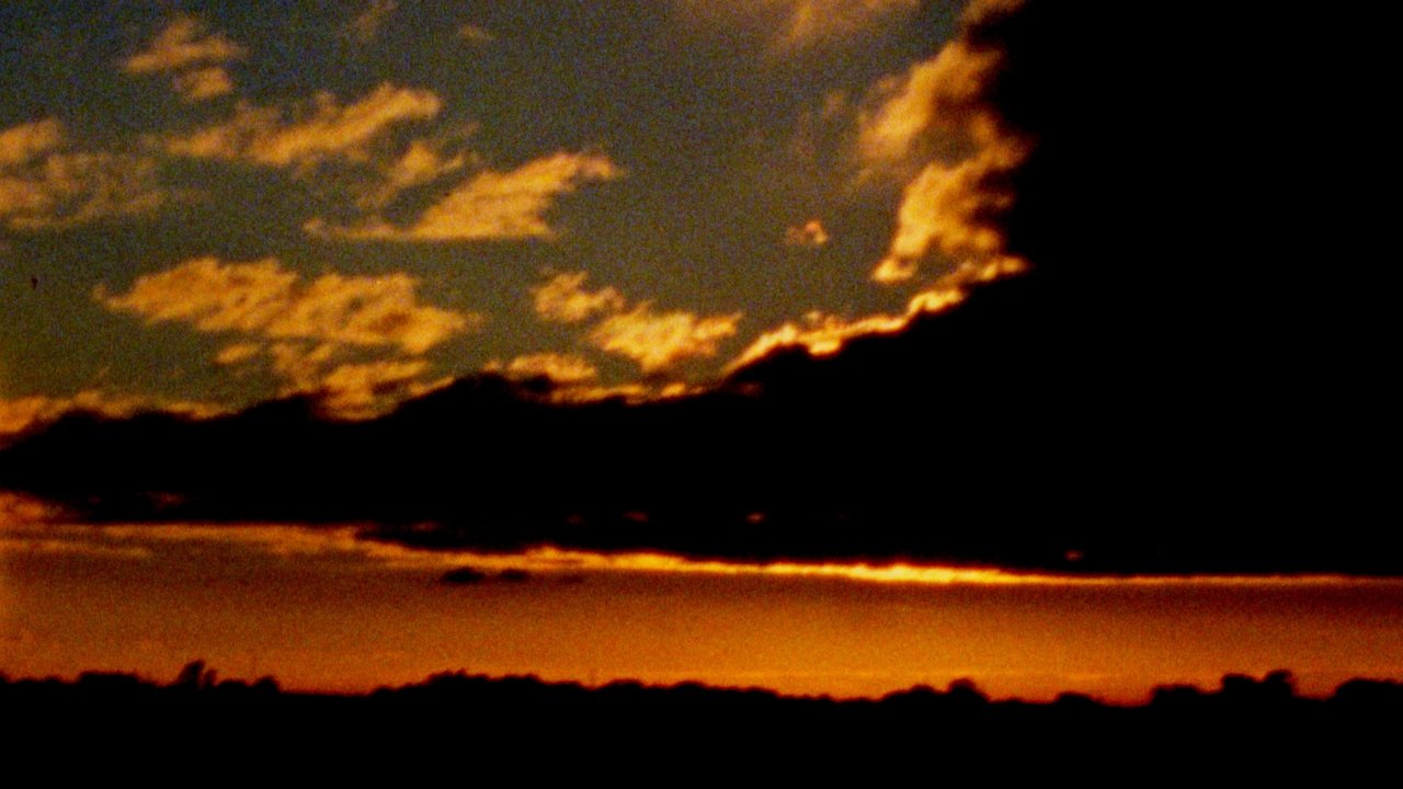on a trip Movie Screenshot 4