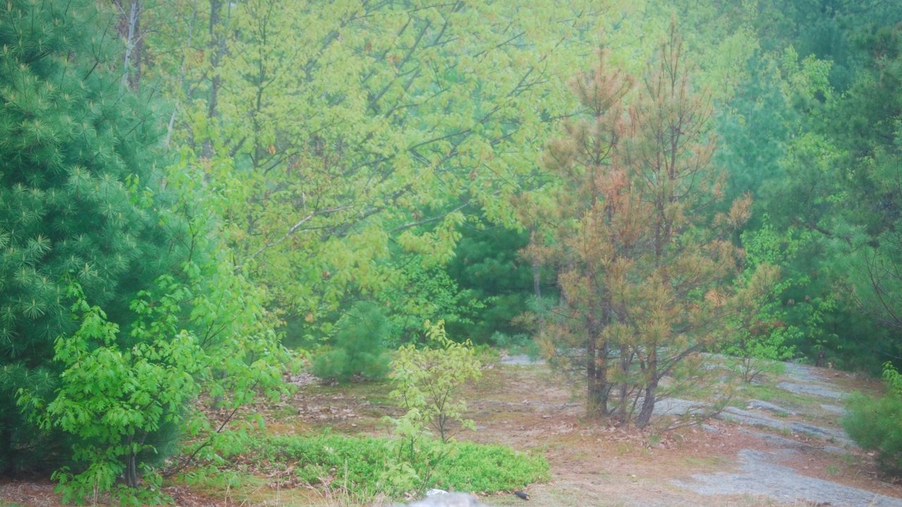 REMNIRA Movie Screenshot 2